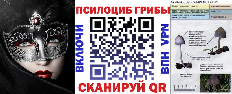 Псилоцибиновые грибы мицелий  даркнет официальный сайт  Уварово 